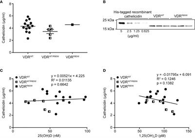 Reduced vitamin D-induced cathelicidin production and killing of Mycobacterium tuberculosis in macrophages from a patient with a non-functional vitamin D receptor: A case report